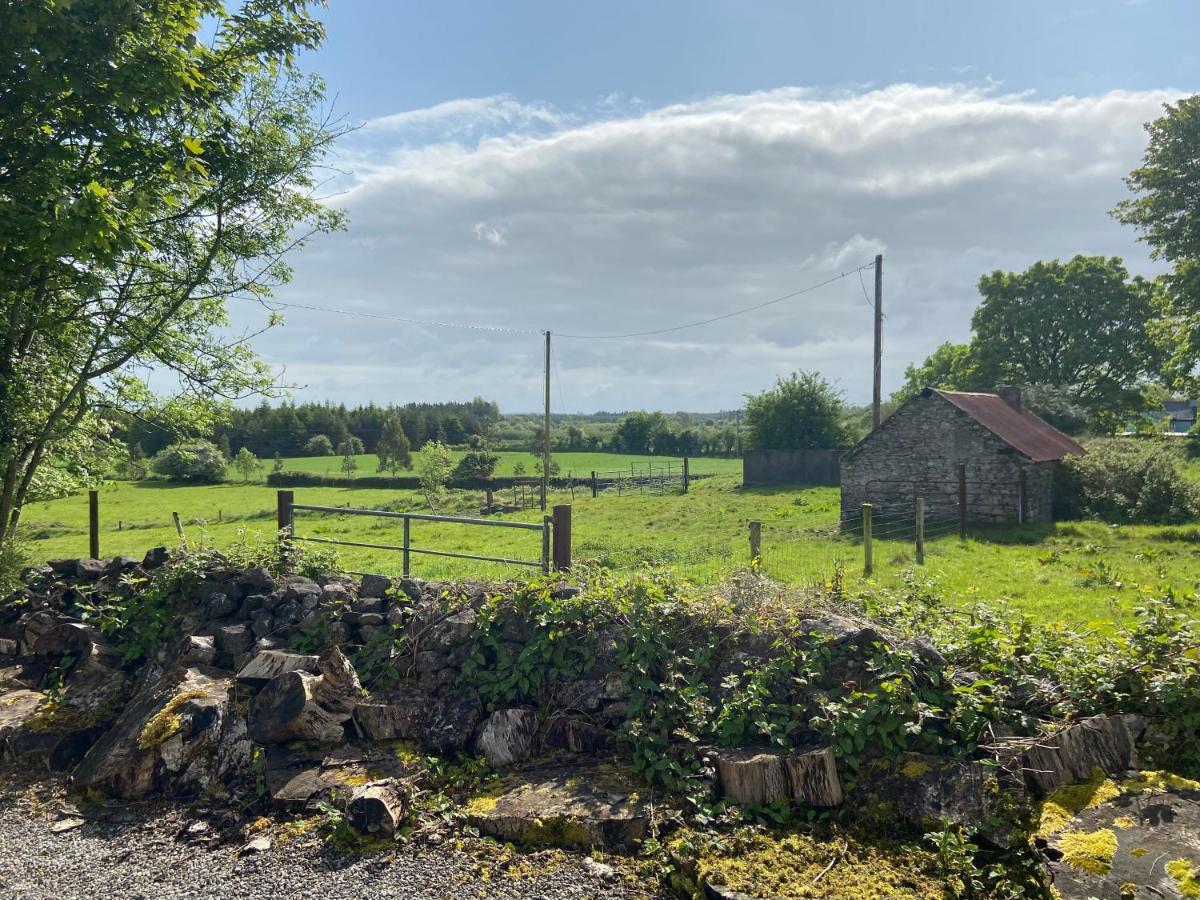 Willa Higgins House Ballyhaunis Zewnętrze zdjęcie